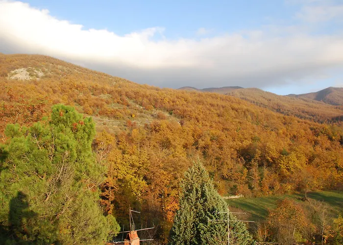 Alla Battuta Sansepolcro